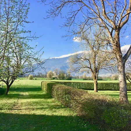 Stay Apartments Bled Bled