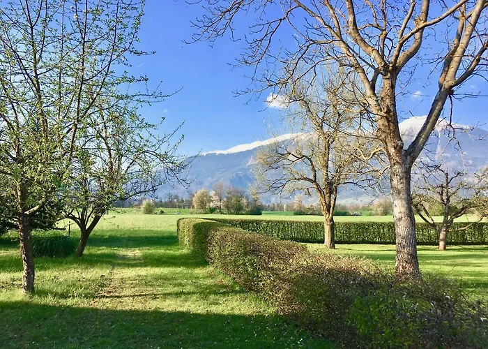 Stay Apartments Bled Bled